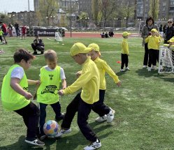 img (6)